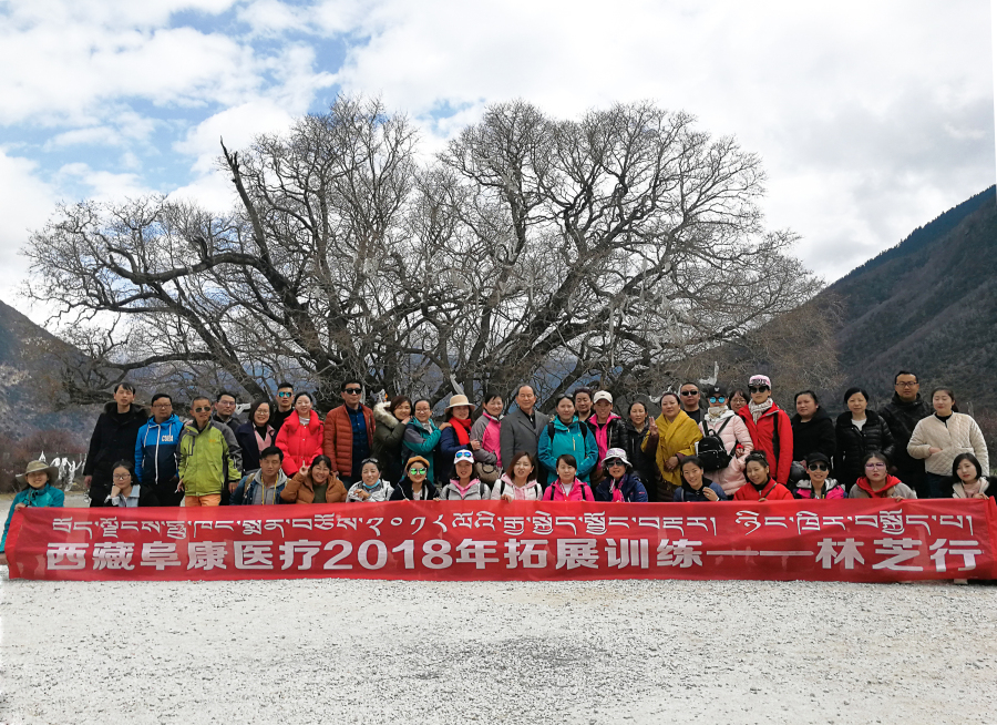 西藏阜康醫(yī)療2018年拓展訓(xùn)練——增強(qiáng)團(tuán)隊(duì)凝聚力、提升團(tuán)隊(duì)協(xié)作能力，更好地為患者服務(wù)