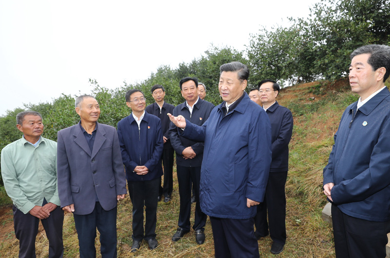 　　9月16日至18日，中共中央總書記、國家主席、中央軍委主席習(xí)近平在河南考察。這是17日上午，習(xí)近平來到信陽市光山縣槐店鄉(xiāng)司馬光油茶園，同正在勞作的村民和管理人員交流。 新華社記者 鞠鵬 攝