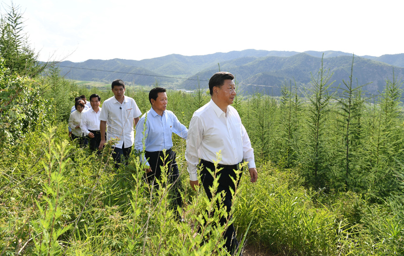 7月15日至16日，中共中央總書記、國家主席、中央軍委主席習(xí)近平在內(nèi)蒙古考察并指導(dǎo)開展“不忘初心、牢記使命”主題教育。這是15日下午，習(xí)近平在赤峰市喀喇沁旗馬鞍山林場林區(qū)，沿著崎嶇的護(hù)林小道察看林木長勢。
